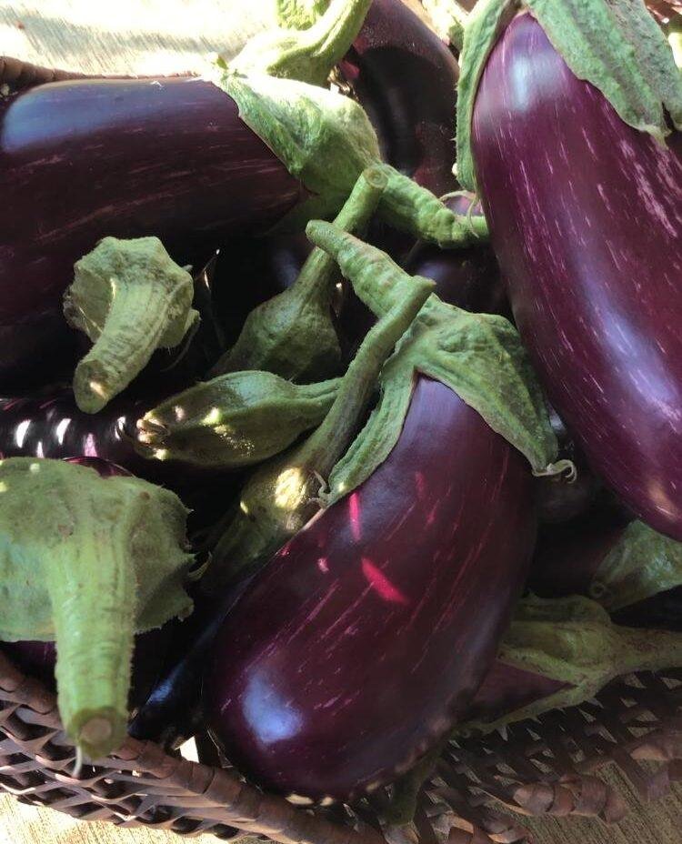 Melanzane Sott’Olio Fatte in Casa